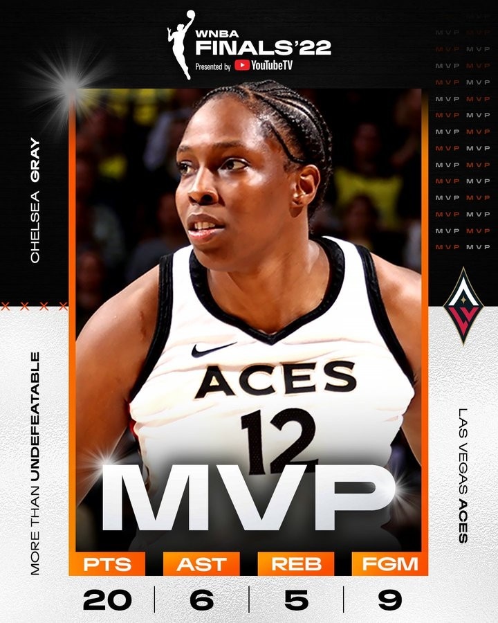 克雷格总冠军 切尔西-格雷当选WNBA总决赛MVP 王牌队包揽赛季个人&团队重要奖项