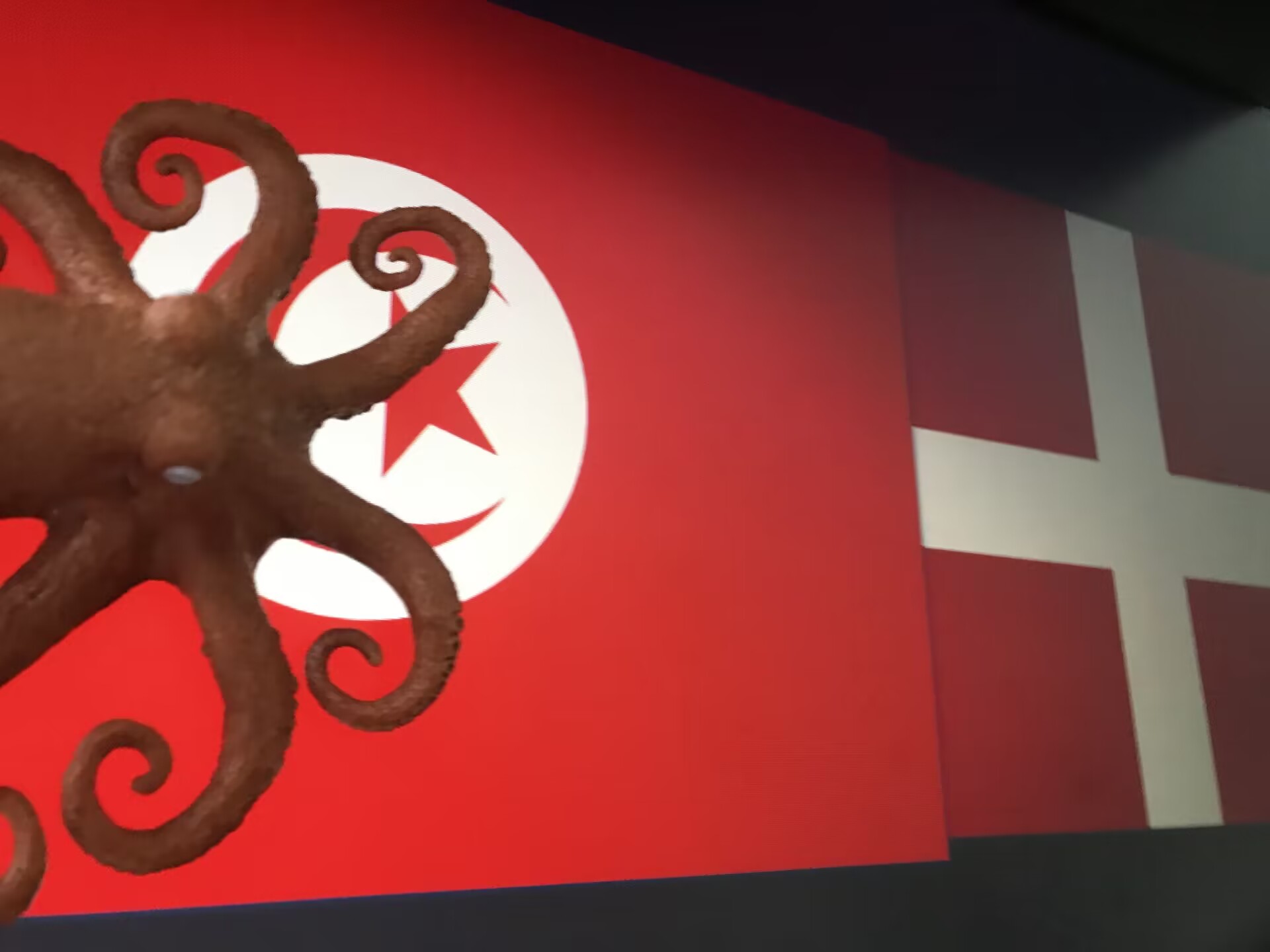 章鱼吧罗预测【丹麦vs突尼斯】：突尼斯很强！看好💪
