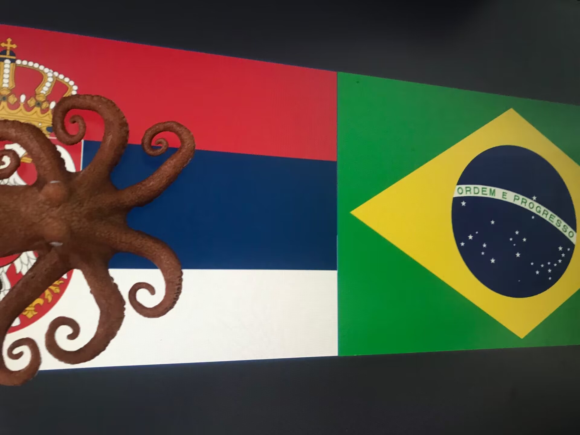 章鱼吧罗预测【巴西vs塞尔维亚】阿利森望球兴叹，塞尔维亚笑最后