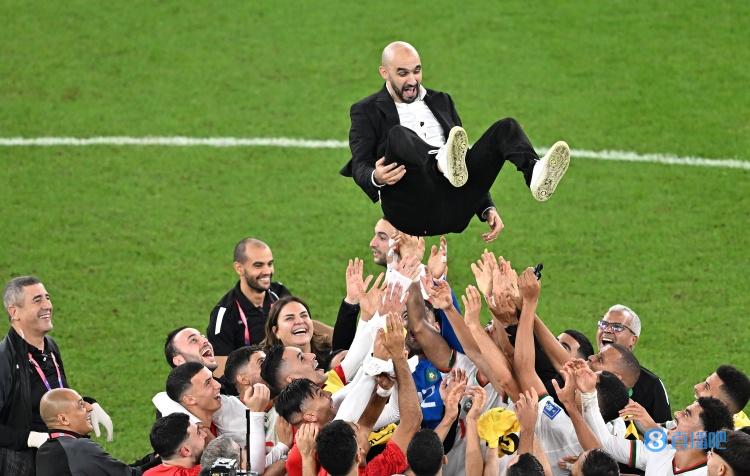 摩洛哥国家队主教练 摩洛哥全队赛后将主帅抛起庆祝，主帅世界杯开赛前81天才上任