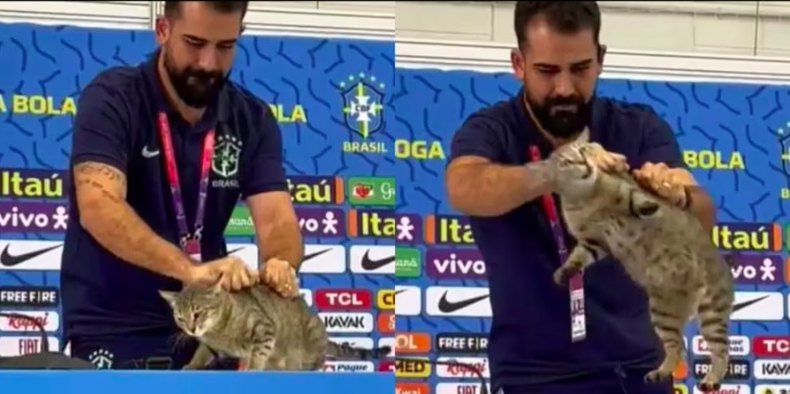 动物保护组织起诉巴西足协：为扔猫道歉，并赔偿100万雷亚尔
